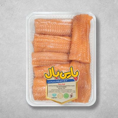 تصویر گوشت فیله شده ماهی سالمون تازه 900 گرمی