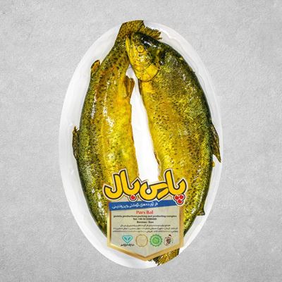 تصویر ماهی قزل آلا شکم پر زعفرانی